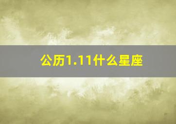 公历1.11什么星座