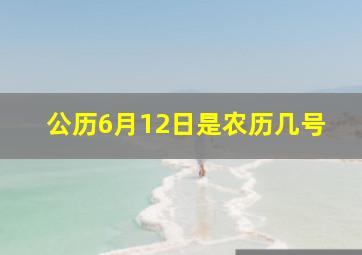 公历6月12日是农历几号