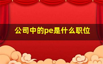 公司中的pe是什么职位