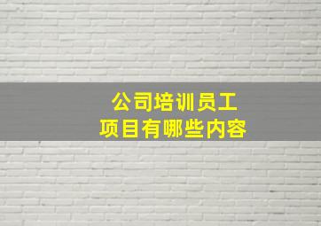 公司培训员工项目有哪些内容