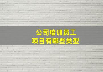 公司培训员工项目有哪些类型