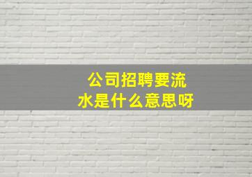 公司招聘要流水是什么意思呀