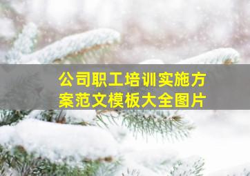 公司职工培训实施方案范文模板大全图片