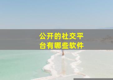 公开的社交平台有哪些软件