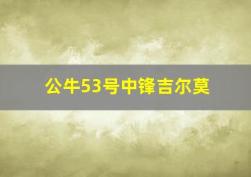 公牛53号中锋吉尔莫