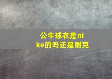 公牛球衣是nike的吗还是耐克