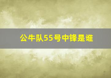 公牛队55号中锋是谁