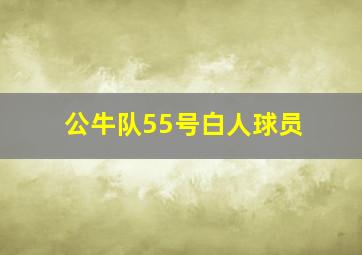 公牛队55号白人球员