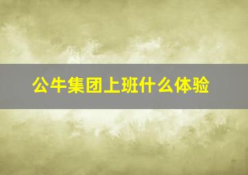 公牛集团上班什么体验