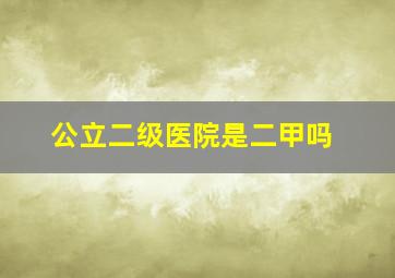 公立二级医院是二甲吗