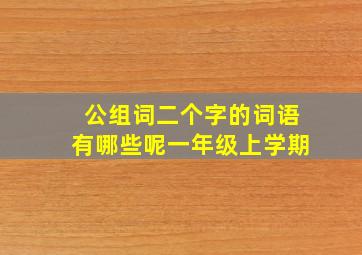 公组词二个字的词语有哪些呢一年级上学期