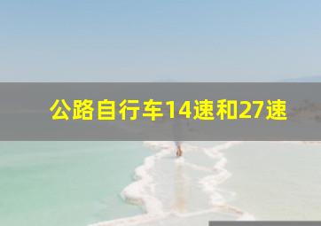 公路自行车14速和27速