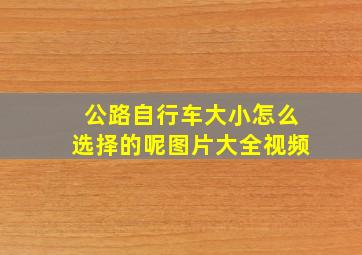 公路自行车大小怎么选择的呢图片大全视频