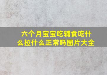 六个月宝宝吃辅食吃什么拉什么正常吗图片大全