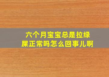 六个月宝宝总是拉绿屎正常吗怎么回事儿啊