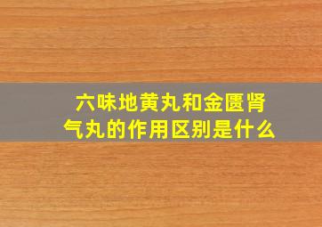 六味地黄丸和金匮肾气丸的作用区别是什么