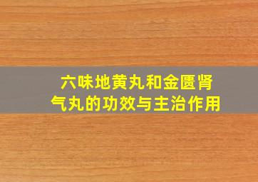 六味地黄丸和金匮肾气丸的功效与主治作用