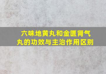 六味地黄丸和金匮肾气丸的功效与主治作用区别