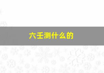 六壬测什么的