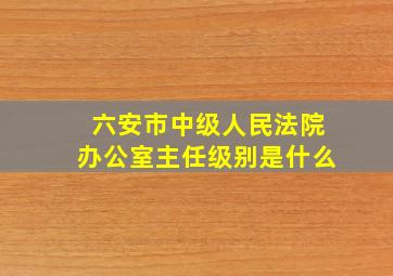 六安市中级人民法院办公室主任级别是什么