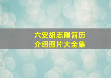 六安胡志刚简历介绍图片大全集