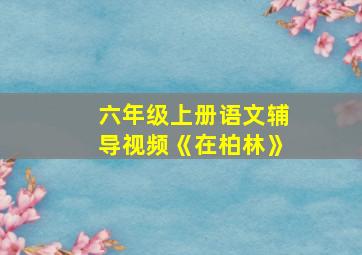 六年级上册语文辅导视频《在柏林》