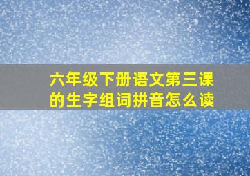 六年级下册语文第三课的生字组词拼音怎么读