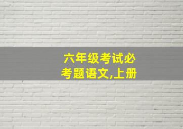 六年级考试必考题语文,上册