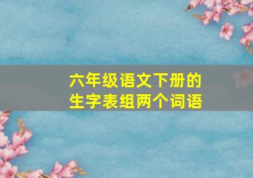 六年级语文下册的生字表组两个词语