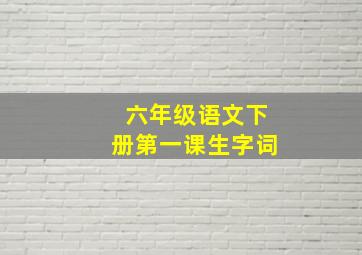 六年级语文下册第一课生字词