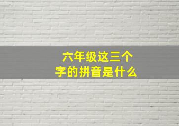 六年级这三个字的拼音是什么