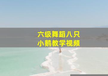 六级舞蹈八只小鹅教学视频