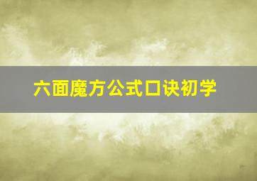 六面魔方公式口诀初学