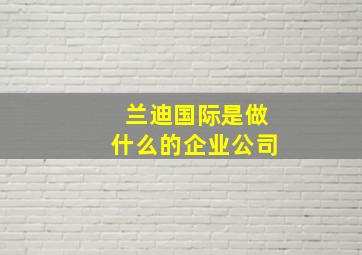 兰迪国际是做什么的企业公司