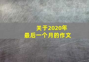 关于2020年最后一个月的作文