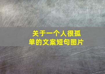 关于一个人很孤单的文案短句图片