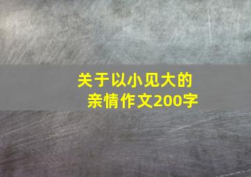 关于以小见大的亲情作文200字