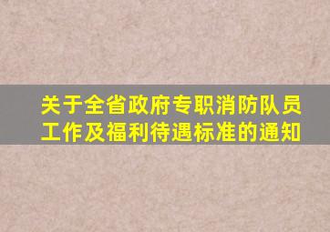 关于全省政府专职消防队员工作及福利待遇标准的通知