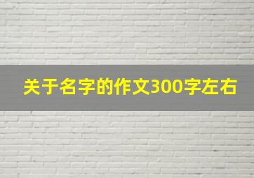 关于名字的作文300字左右