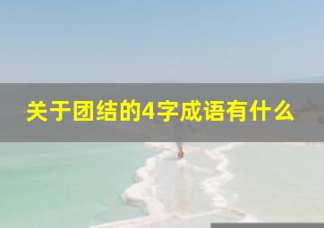 关于团结的4字成语有什么