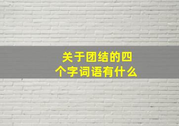 关于团结的四个字词语有什么