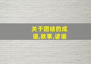 关于团结的成语,故事,谚语