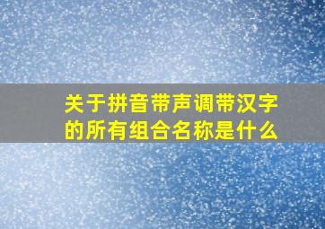 关于拼音带声调带汉字的所有组合名称是什么