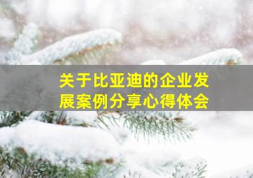 关于比亚迪的企业发展案例分享心得体会