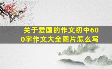 关于爱国的作文初中600字作文大全图片怎么写