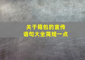 关于箱包的宣传语句大全简短一点