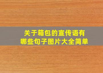 关于箱包的宣传语有哪些句子图片大全简单