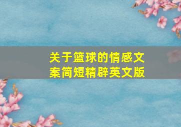 关于篮球的情感文案简短精辟英文版