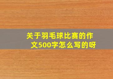 关于羽毛球比赛的作文500字怎么写的呀