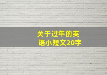 关于过年的英语小短文20字